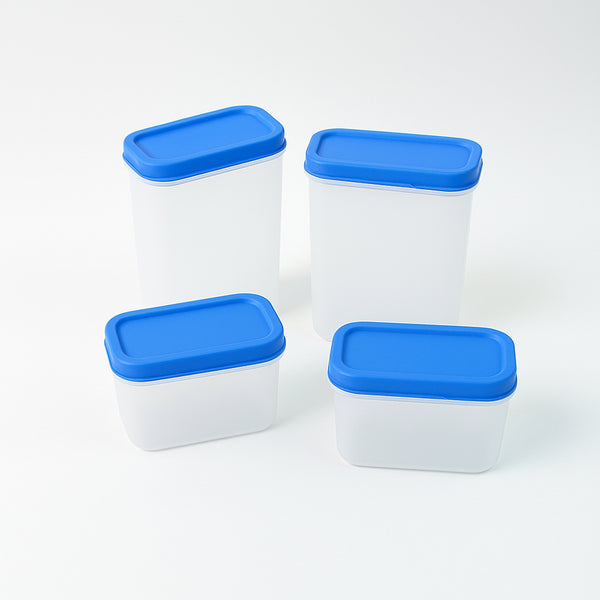 Apex Glory Plastic Storage Container Box Set (4 Pc)