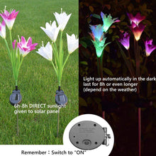 6616b Waterproof Outdoor Solar Lily Flower Stake Lights ( Pack Of 2 Pcs )