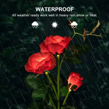 6616a Garden Solar Outdoor Rose Lights Decorative  Waterproof Flower Light For Garden Patio Landscape Pathway Yard Holiday Decoration